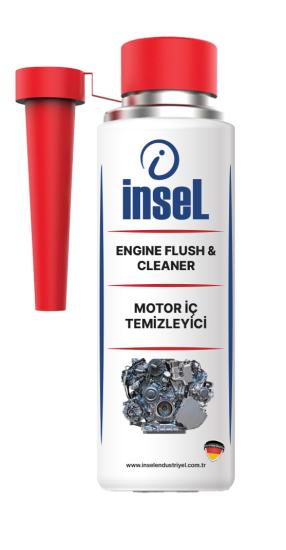 Motor İç Temizleyici 300 ML